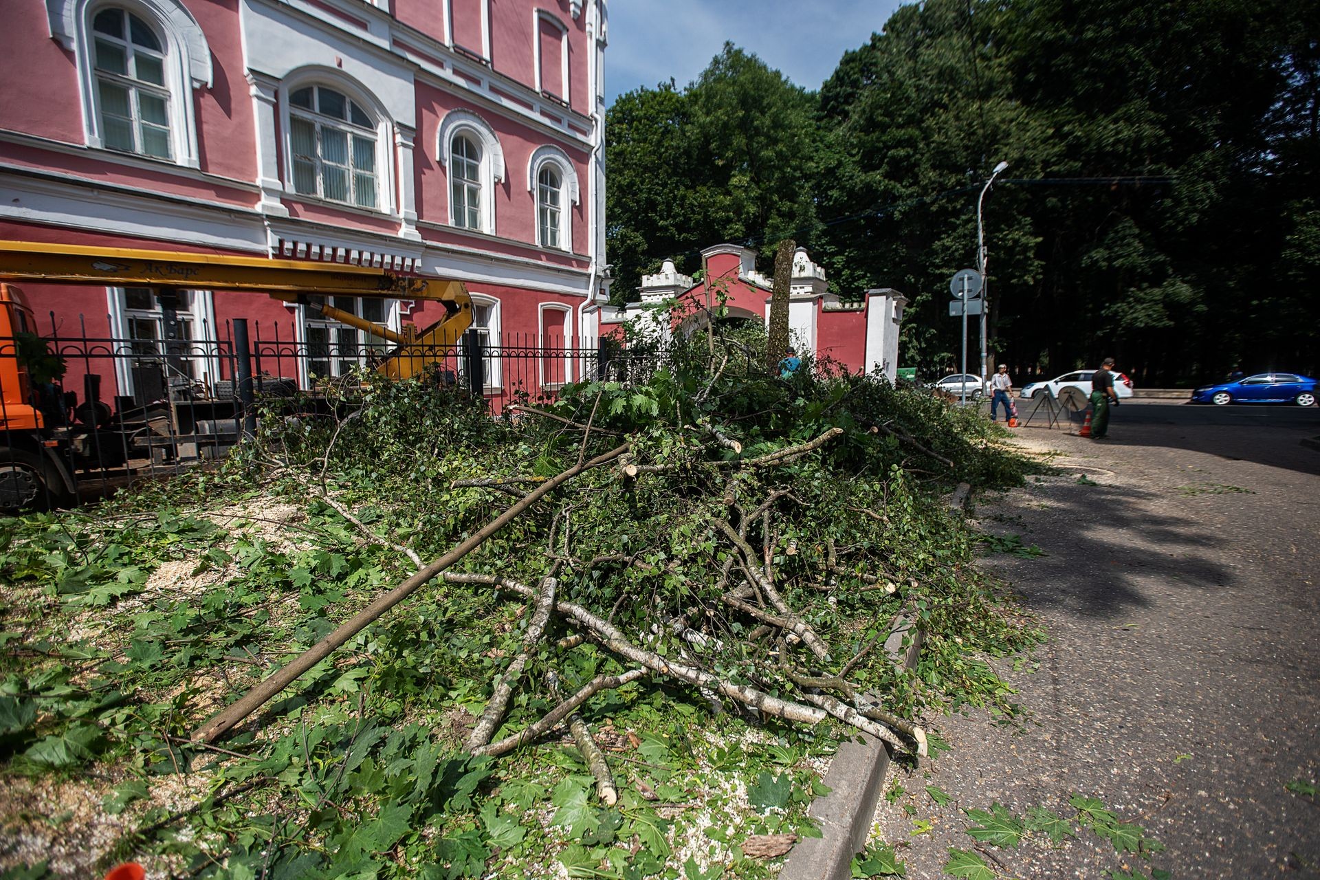 the lumberjacks of the city's municipal service clean the city of old and sick emergency trees that can fall from bad weather and strong wind, sawn logs and trunks with branches lie on the sidewalk
